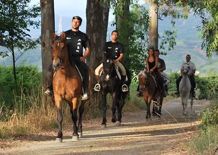Ξενοδοχείο Diamond Diamante